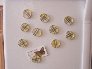 marble-magnets-yellow-and-blue-plaid.JPG